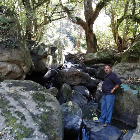 Mountain Hut Resorts Kottakamboor Buitenkant foto